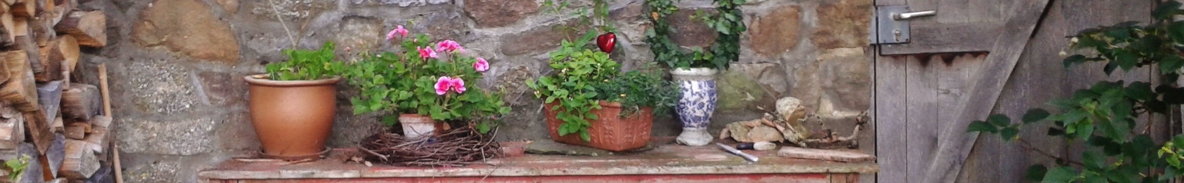 Gardening 09