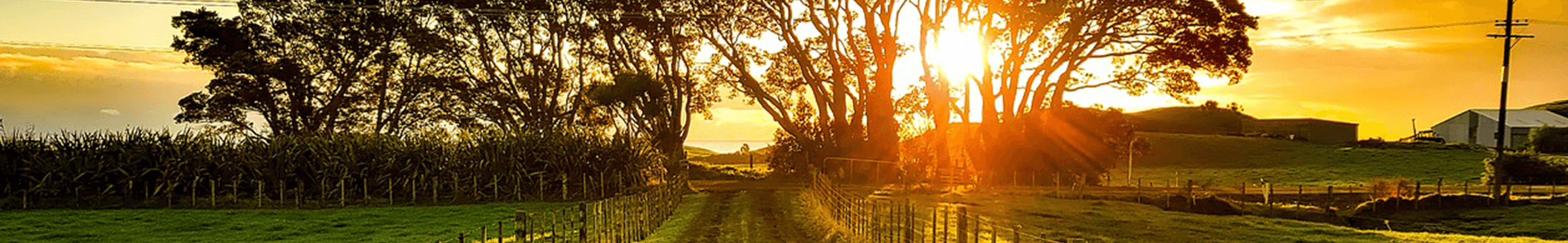 Rural-Sunset
